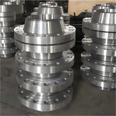 EN Weld Neck Flange